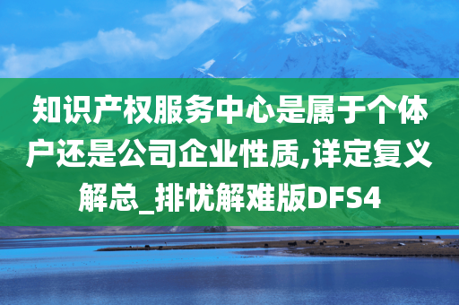 知识产权服务中心是属于个体户还是公司企业性质,详定复义解总_排忧解难版DFS4