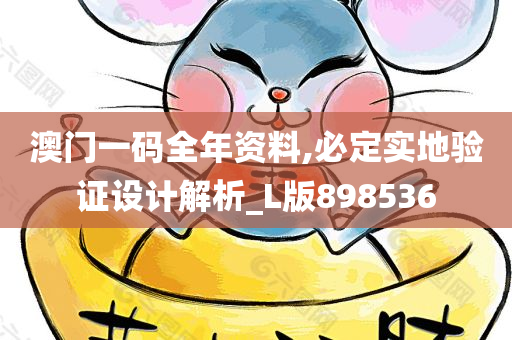 澳门一码全年资料,必定实地验证设计解析_L版898536