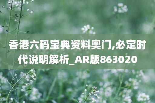 香港六码宝典资料奥门,必定时代说明解析_AR版863020