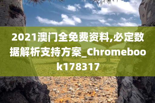 2021澳门全免费资料,必定数据解析支持方案_Chromebook178317