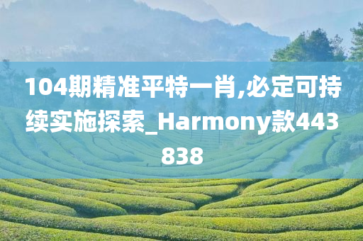 104期精准平特一肖,必定可持续实施探索_Harmony款443838