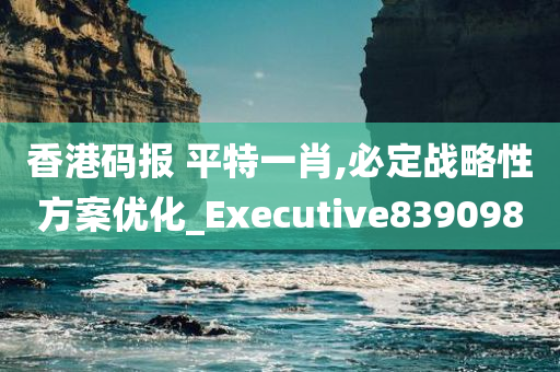 香港码报 平特一肖,必定战略性方案优化_Executive839098