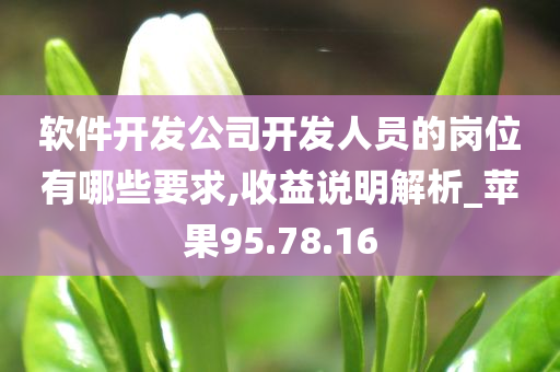 软件开发公司开发人员的岗位有哪些要求,收益说明解析_苹果95.78.16