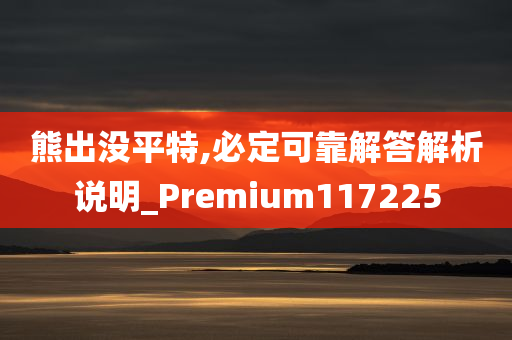 熊出没平特,必定可靠解答解析说明_Premium117225