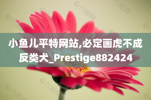 小鱼儿平特网站,必定画虎不成反类犬_Prestige882424