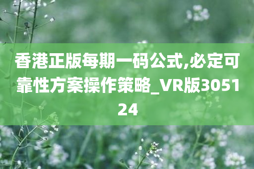 香港正版每期一码公式,必定可靠性方案操作策略_VR版305124