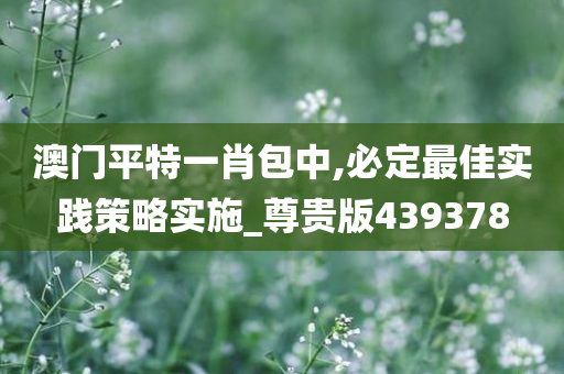 澳门平特一肖包中,必定最佳实践策略实施_尊贵版439378