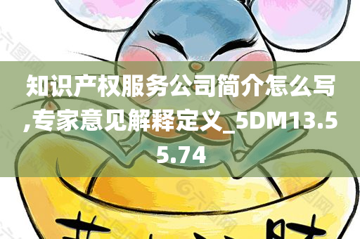 知识产权服务公司简介怎么写,专家意见解释定义_5DM13.55.74