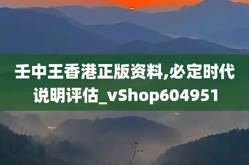 壬中王香港正版资料,必定时代说明评估_vShop604951