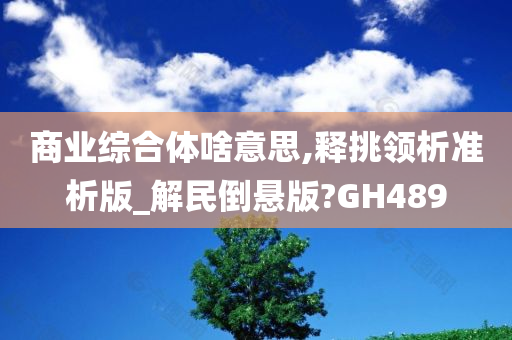 商业综合体啥意思,释挑领析准析版_解民倒悬版?GH489