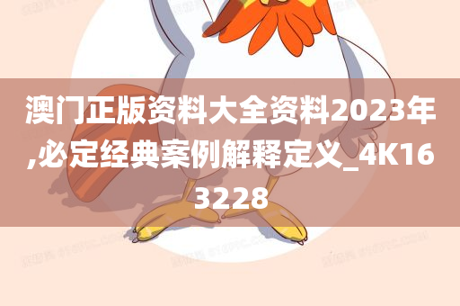 澳门正版资料大全资料2023年,必定经典案例解释定义_4K163228