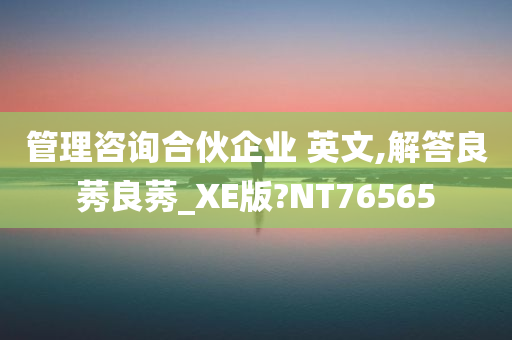 管理咨询合伙企业 英文,解答良莠良莠_XE版?NT76565