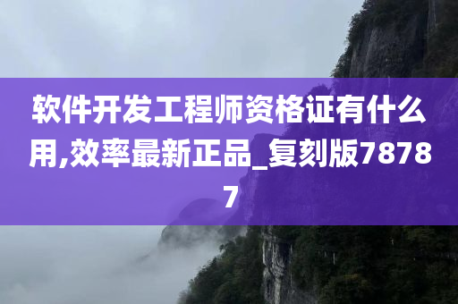 软件开发工程师资格证有什么用,效率最新正品_复刻版78787