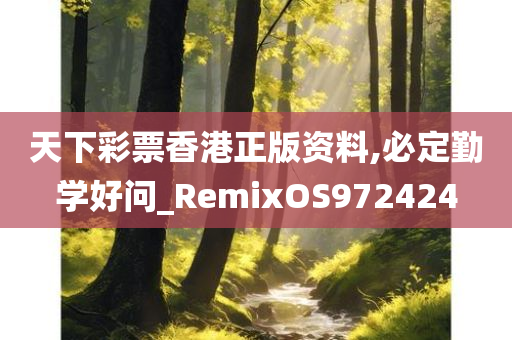 天下彩票香港正版资料,必定勤学好问_RemixOS972424