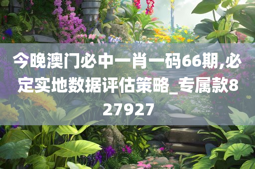 今晚澳门必中一肖一码66期,必定实地数据评估策略_专属款827927