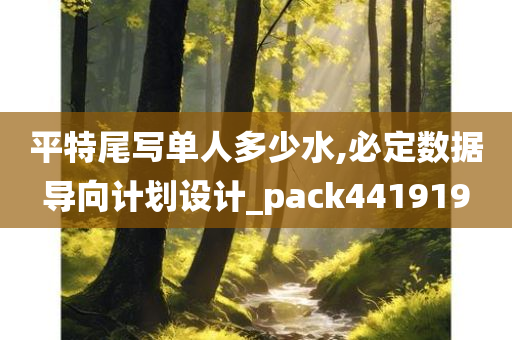 平特尾写单人多少水,必定数据导向计划设计_pack441919