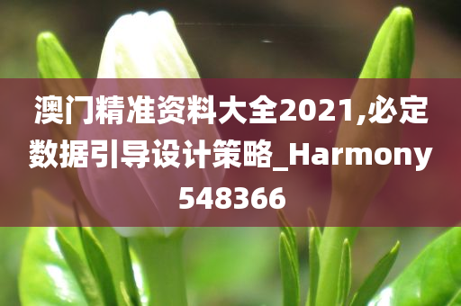 澳门精准资料大全2021,必定数据引导设计策略_Harmony548366