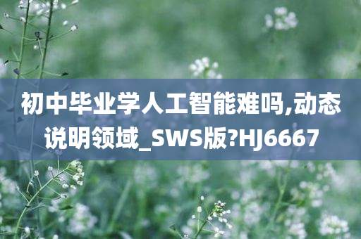 初中毕业学人工智能难吗,动态说明领域_SWS版?HJ6667