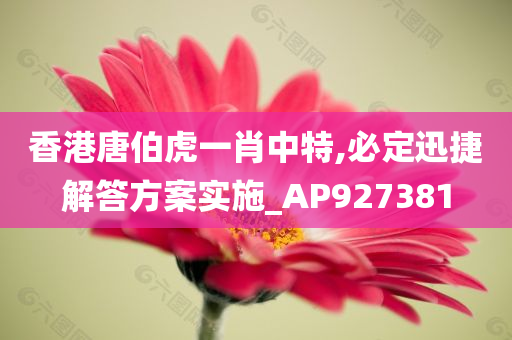 香港唐伯虎一肖中特,必定迅捷解答方案实施_AP927381