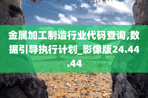 金属加工制造行业代码查询,数据引导执行计划_影像版24.44.44