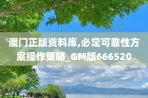 澳门正版资料库,必定可靠性方案操作策略_GM版666520