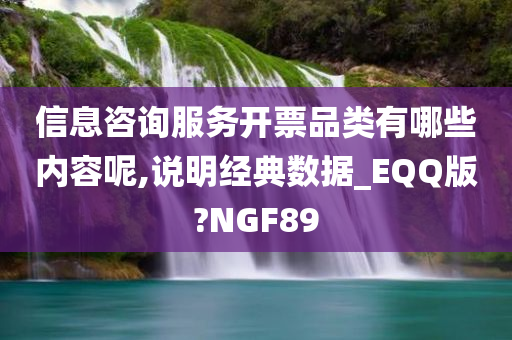 信息咨询服务开票品类有哪些内容呢,说明经典数据_EQQ版?NGF89