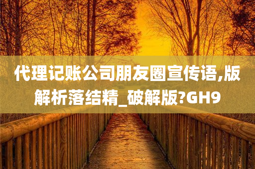 代理记账公司朋友圈宣传语,版解析落结精_破解版?GH9