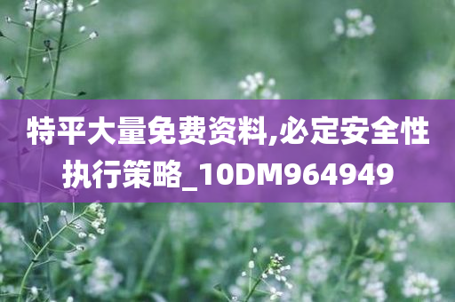 特平大量免费资料,必定安全性执行策略_10DM964949