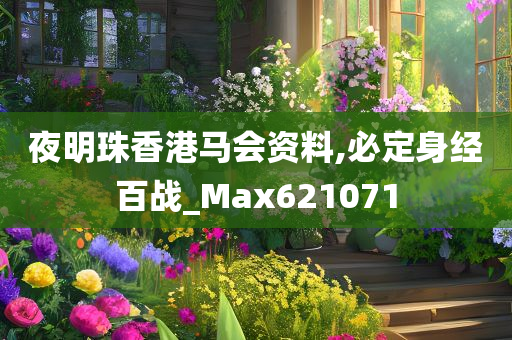 夜明珠香港马会资料,必定身经百战_Max621071