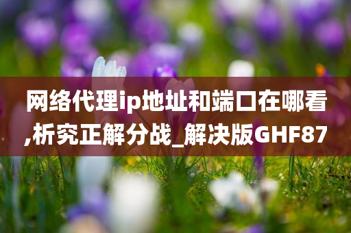 网络代理ip地址和端口在哪看,析究正解分战_解决版GHF87