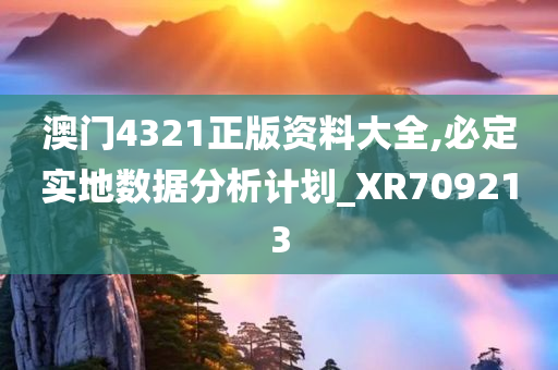 澳门4321正版资料大全,必定实地数据分析计划_XR709213