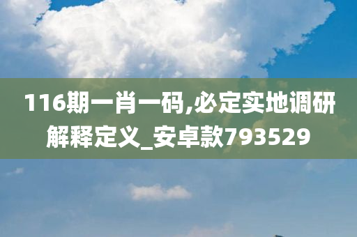 116期一肖一码,必定实地调研解释定义_安卓款793529