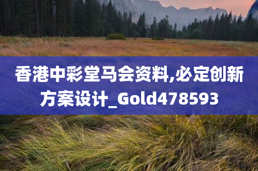 香港中彩堂马会资料,必定创新方案设计_Gold478593