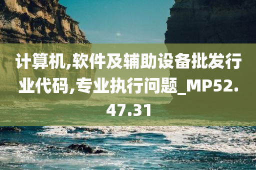 计算机,软件及辅助设备批发行业代码,专业执行问题_MP52.47.31