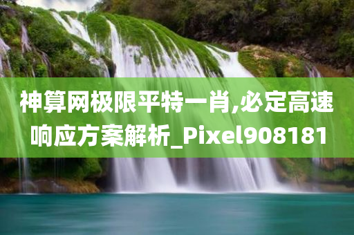 神算网极限平特一肖,必定高速响应方案解析_Pixel908181