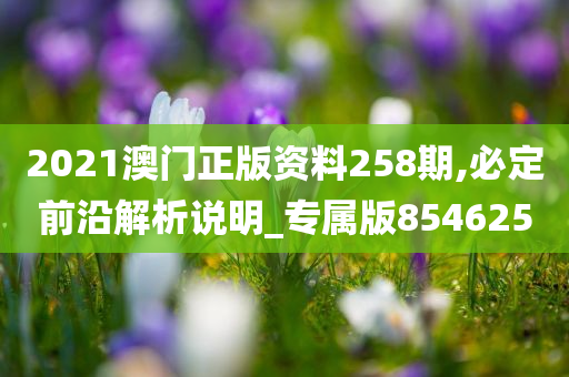 2021澳门正版资料258期,必定前沿解析说明_专属版854625