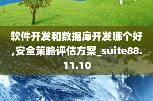 软件开发和数据库开发哪个好,安全策略评估方案_suite88.11.10