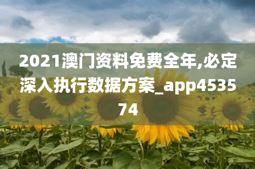 2021澳门资料免费全年,必定深入执行数据方案_app453574