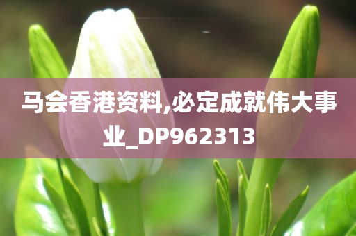 马会香港资料,必定成就伟大事业_DP962313