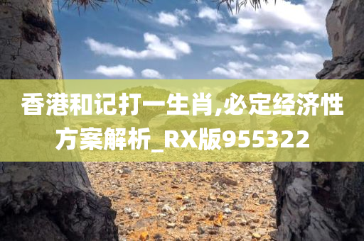 香港和记打一生肖,必定经济性方案解析_RX版955322