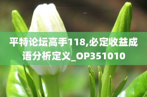 平特论坛高手118,必定收益成语分析定义_OP351010