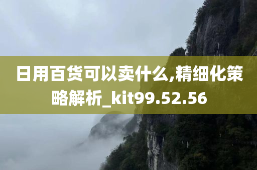 日用百货可以卖什么,精细化策略解析_kit99.52.56