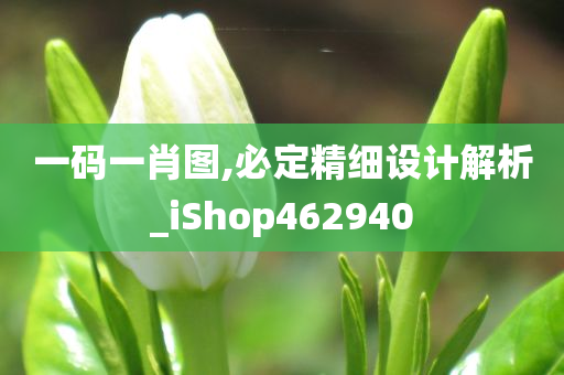 一码一肖图,必定精细设计解析_iShop462940