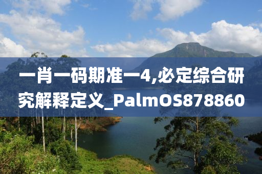 一肖一码期准一4,必定综合研究解释定义_PalmOS878860