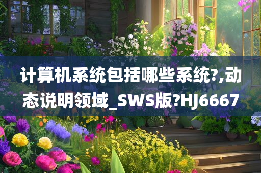 计算机系统包括哪些系统?,动态说明领域_SWS版?HJ6667