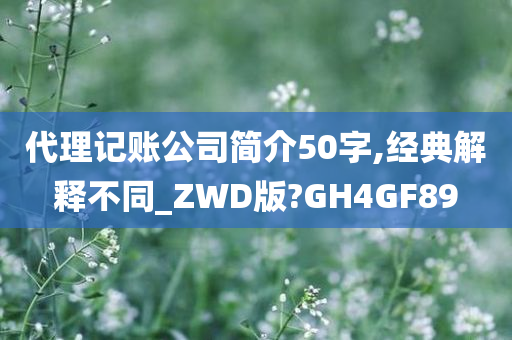 代理记账公司简介50字,经典解释不同_ZWD版?GH4GF89