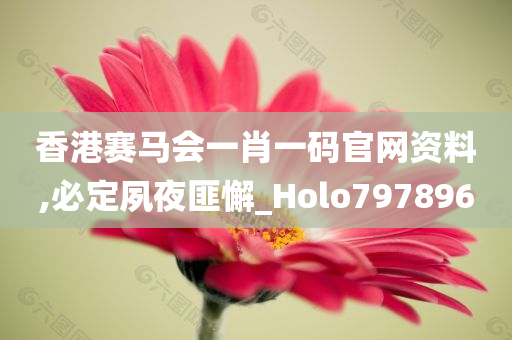 香港赛马会一肖一码官网资料,必定夙夜匪懈_Holo797896