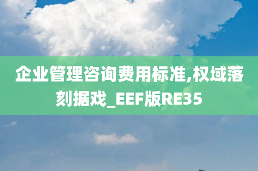 企业管理咨询费用标准,权域落刻据戏_EEF版RE35