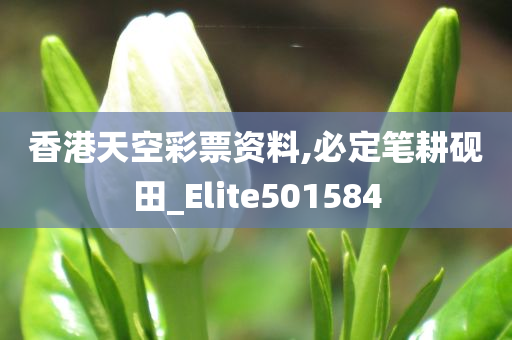 香港天空彩票资料,必定笔耕砚田_Elite501584