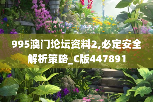 995澳门论坛资料2,必定安全解析策略_C版447891